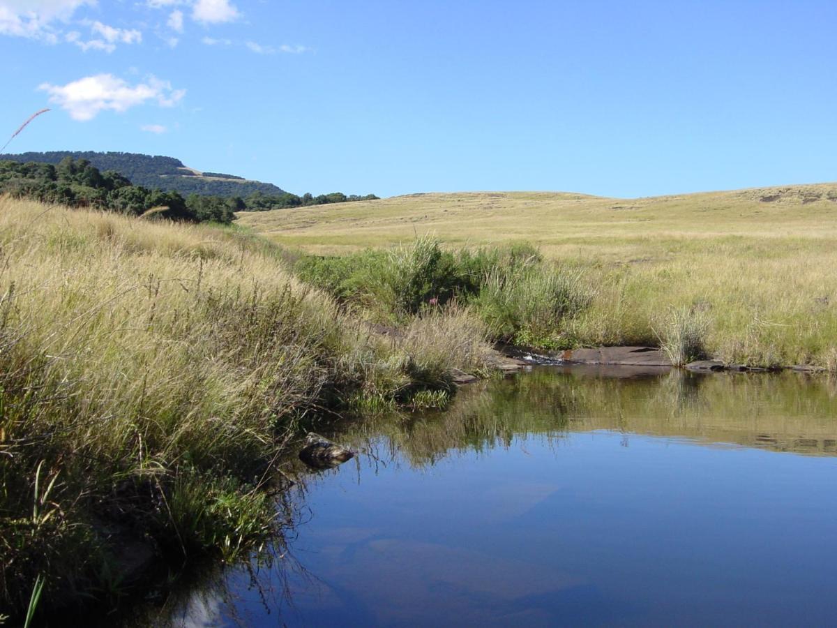 Rockwood Karkloof Forest Lodge & Mountain Cabin Karkloof Nature Reserve Bagian luar foto