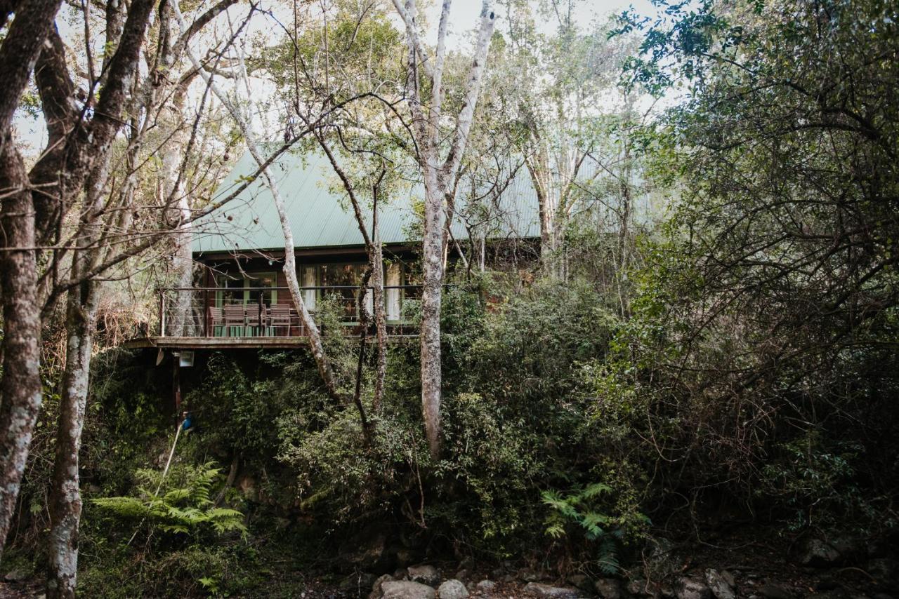 Rockwood Karkloof Forest Lodge & Mountain Cabin Karkloof Nature Reserve Bagian luar foto