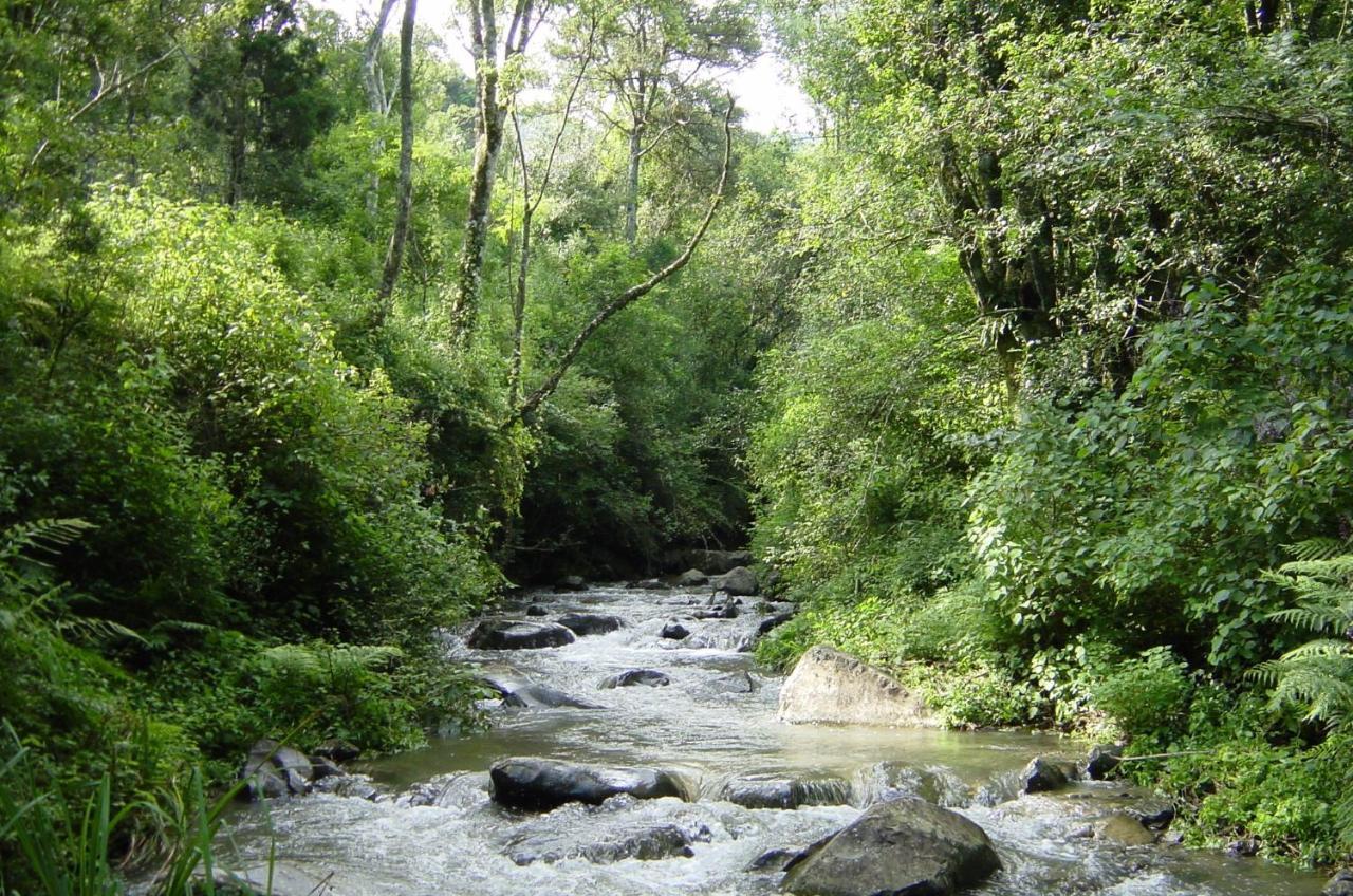 Rockwood Karkloof Forest Lodge & Mountain Cabin Karkloof Nature Reserve Bagian luar foto
