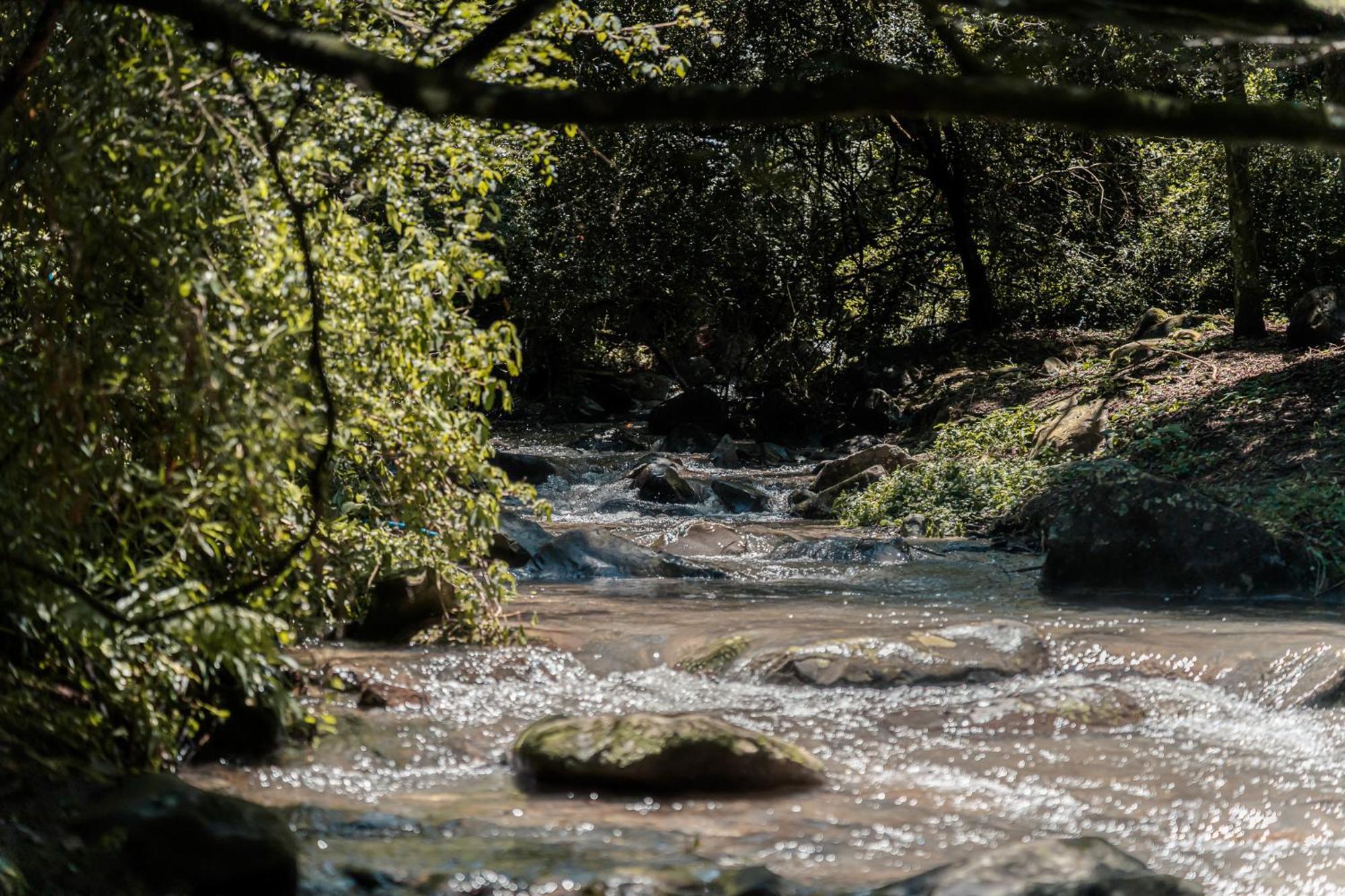 Rockwood Karkloof Forest Lodge & Mountain Cabin Karkloof Nature Reserve Bagian luar foto